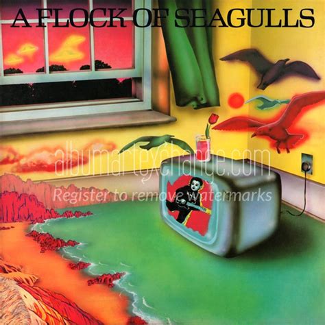 Album Art Exchange - A Flock of Seagulls (12") by A Flock of Seagulls ...