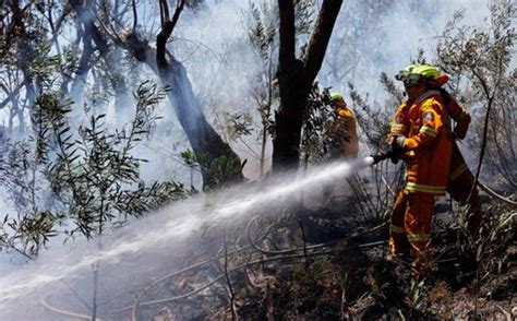 435 Hektare Lahan Di Lereng Gunung Arjuno Terbakar Okezone News