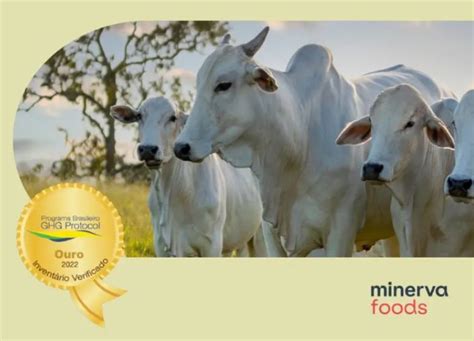 Minerva Foods conquista Selo Ouro em seu Inventário Corporativo de