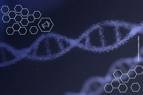 O Projeto Genoma Humano Pode Finalmente Ser Completado Ap S Anos