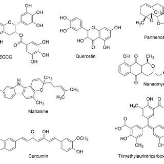 Chemical Structures Of Representative Inhibitors Of Dnmts From