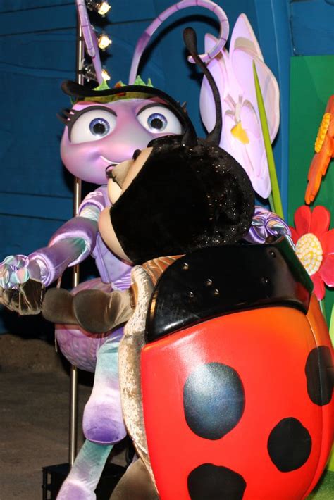 Francis Ladybug at Disney Character Central | Ladybug, Tokyo disneyland ...