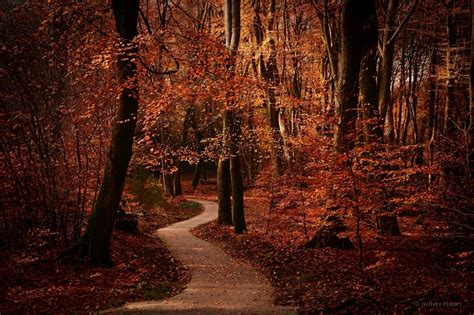 Autumn Path by Nelleke on DeviantArt