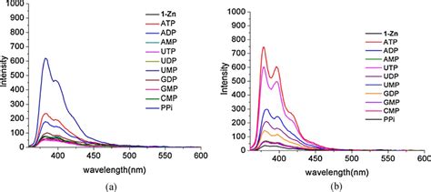 Fluorescence Emission Spectra Of 1·zn 1 × 10 −5 M In The Presence Of