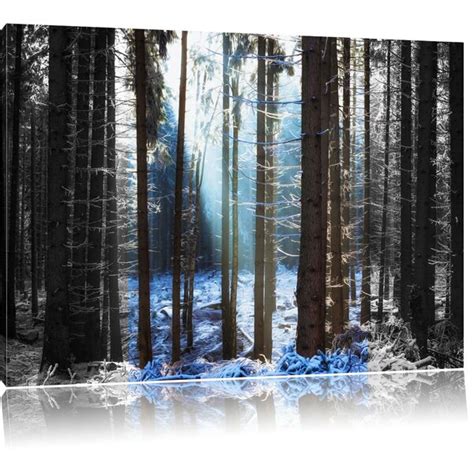 East Urban Home Leinwandbild Sonne Winterwald Wayfair De