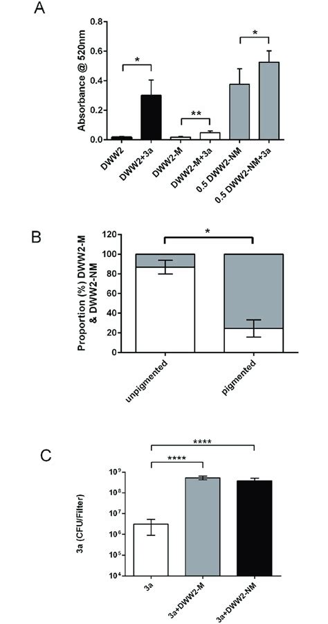 Examples of biofilms at 24 h, 48 h and 72 h. Examples of biofilms at ...