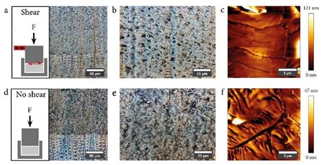 Delignified Specimens Densified At Low Force After Equilibration At 65