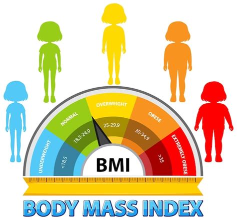 Free Vector Body Mass Index Scale Illustration