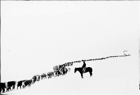 Photographer On The Pitchfork Charles Beldens Version Of The West