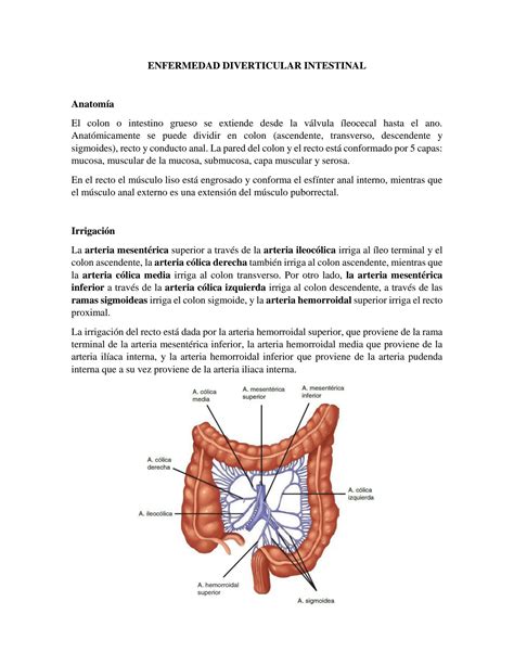 SOLUTION Enfermedad Diverticular Diverticulosis Studypool