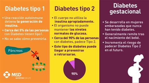 Mauricio Montelongo Diabetes Mellitus Tipo Y Tipo 54 Off