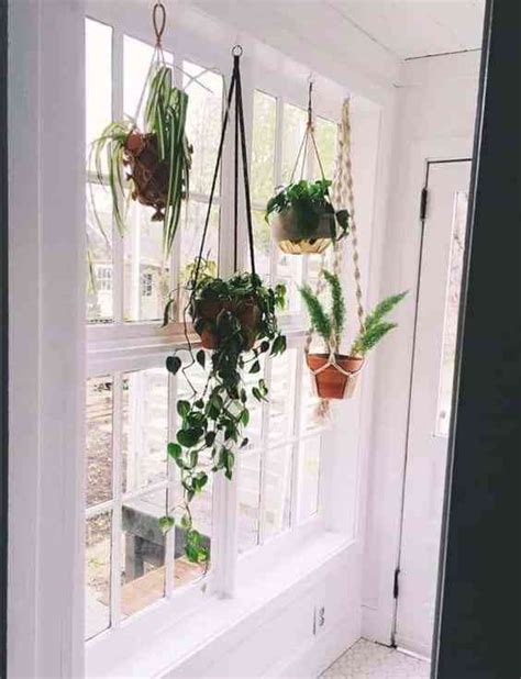 Formas De Decorar El Interior De Las Ventanas Con Plantas