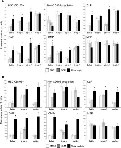 Treatment Of Murine Bone Marrow Bm With Tc Ptp Inhibitors Augments