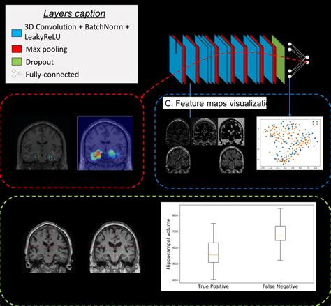 Main Classes Of Interpretability For Deep Learning Applied To Imaging Download Scientific