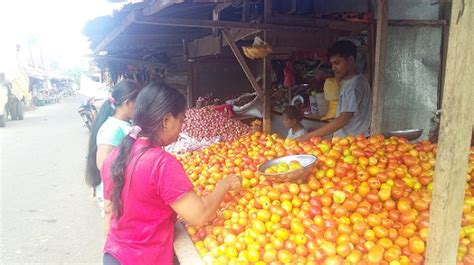 Hasil Perkebunan Tidak Laku Dijual Di Pasar Wosia Harian Halmahera