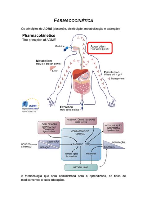 2 Farmacocinética FARMACOCINÉTICA Os princípios de ADME absorção