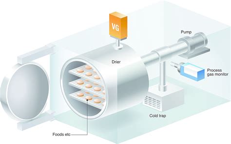 Vacuum Freeze Drying Solutions For Pharmaceutical And Medicine Manufacturing