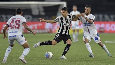 Botafogo X Bahia Onde Assistir Palpites E Escalações Do Jogo De Ida