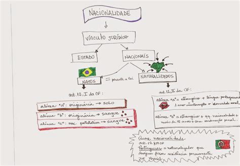 Estude Direito Revise Direito Nacionalidade Mapa Mental Art