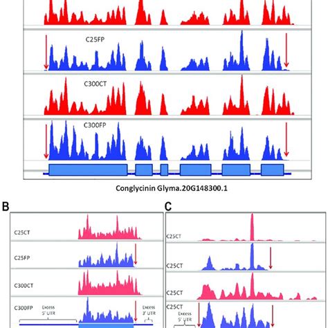 Integrative Genomics Viewer Igv Displays Of Base Coverage For Two