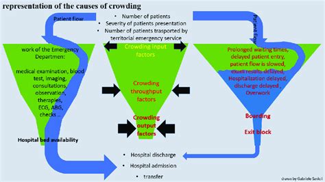 Graphic Representation Of The Causes Of Crowding This Figure