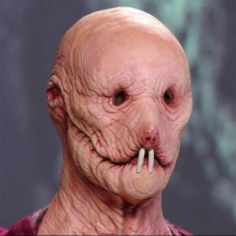 Human Naked Mole Rat Imgur