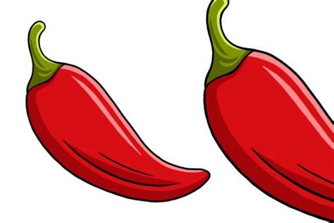 Red Hot Chilli Vector Illustration Graphic By Medzcreative Creative Fabrica