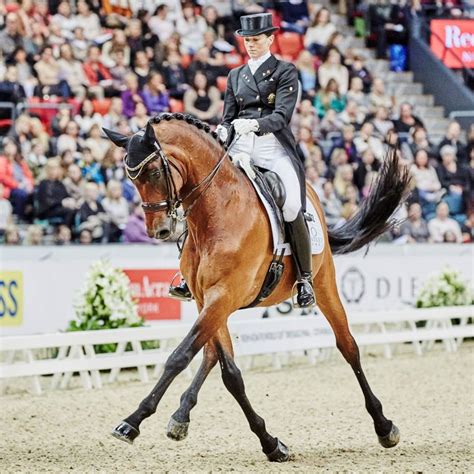 2016 Australian Olympic Dressage Team | Equestrian Australia