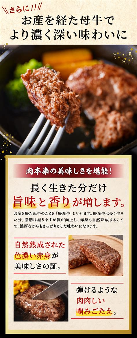 ふるさと納税 009aa01n但馬牛経産牛ハンバーグ 150g×5個 但馬牛 牛肉 100 兵庫県市川町 円高還元