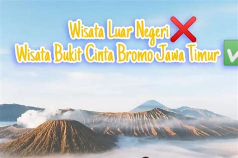 Bak Luar Negeri Cek Rekomendasi 4 Wisata Wajib Dikunjungi Di Taman