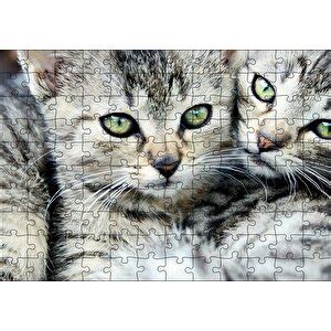 Cakapuzzle Cakapuzzle Tekir Yavru Kediler Puzzle Yapboz Mdf Ahşap Puzzle