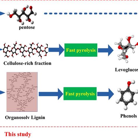 Proposed Biorefinery Scheme Based On Organosolvolysis Coupled With Fast