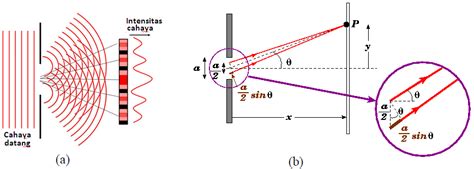 Difraksi Celah Tunggal Difraksi Fraunhofer Biology Page