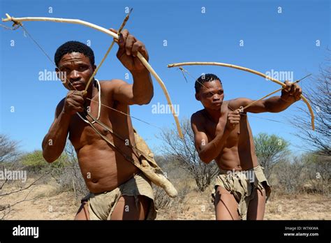 Naro San Bushmen Hunting In The Bush With Traditional Bow And Arrows