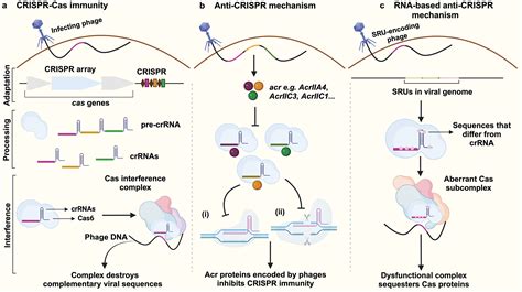 Weather reports will shift the outlook for top defenses week 11 6