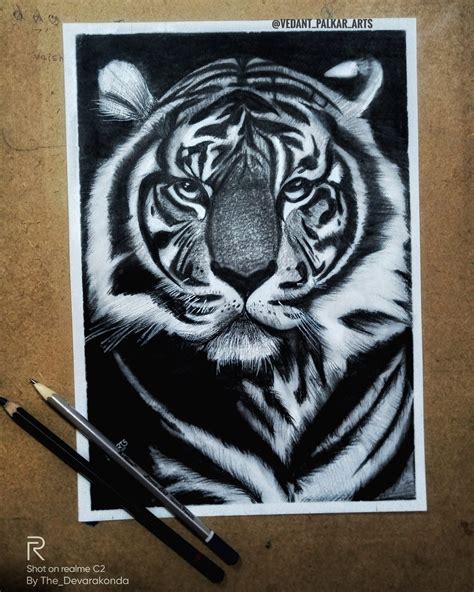 Realistic Drawings Of Tigers