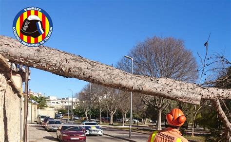 El Fuerte Viento Arranca El Techo De Un Pista De P Del Y Causa La Ca Da