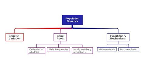 Genetics Concept Map Template Edrawmind