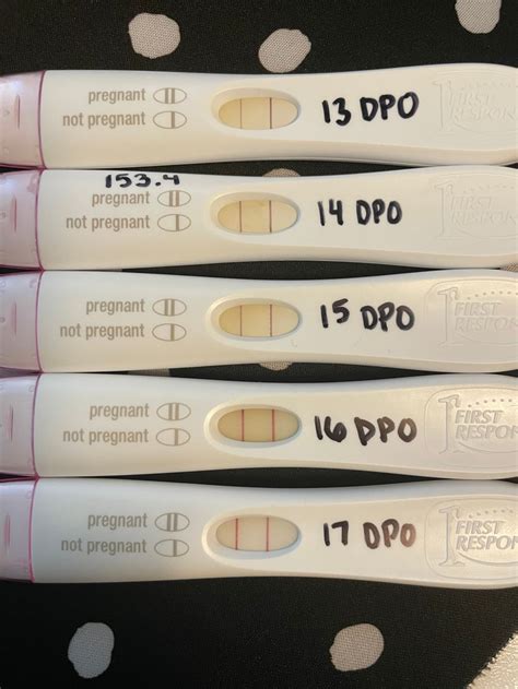 Line Progression Examples For FRER Clear Blue Pink Dye Pregmate