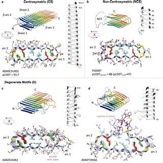 Structural classification of curlin subunits as predicted by ...