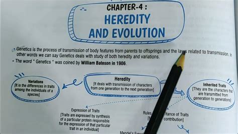 Heredity Class 10 Science Flow Chart Fastest Revision Biology Youtube