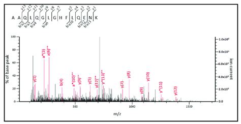 Ms Ms Spectrum For The Tryptic Peptide Aaqlqglghflqenk Found In The Download Scientific