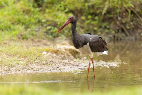 Les 3 Bonnes Raisons De Partir En Vacances Dans Le Parc National De