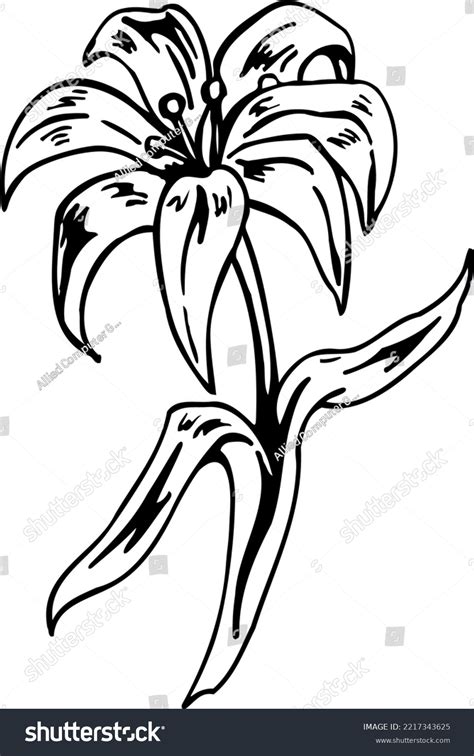 Easter Lily Black White Vector Illustration Stock Vector (Royalty Free ...