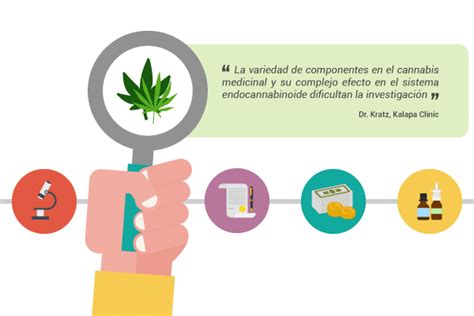 El Cannabis Medicinal Y Sus Usos Terap Uticos Kalapa Clinic