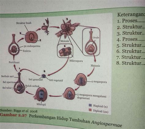 15 Contoh Perkembangbiakan Tumbuhan Secara Generatif Dan Vegetatif