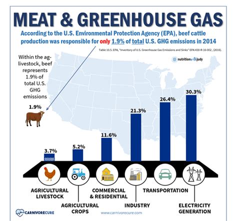 Meat And Climate Change Nutrition With Judy