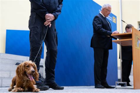 München Operation Weckruf Spürhunde ermöglichen Schlag gegen