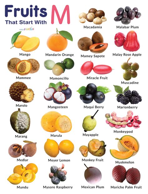 List Of Fruits That Start With M With Pictures