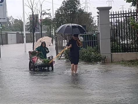 宜秀区全力应对强降雨 群众生产生活平稳有序 区直动态 宜秀网